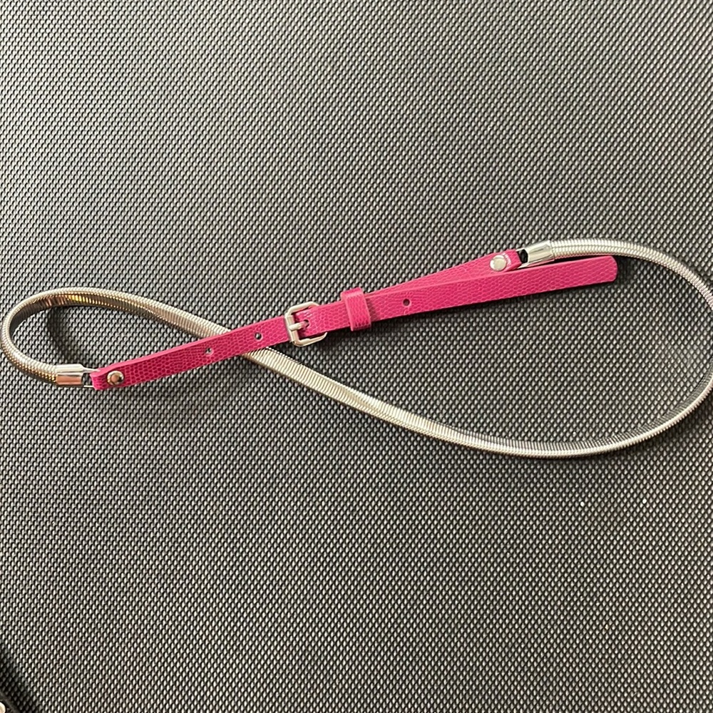 Woman’s Silver and Pink Belt